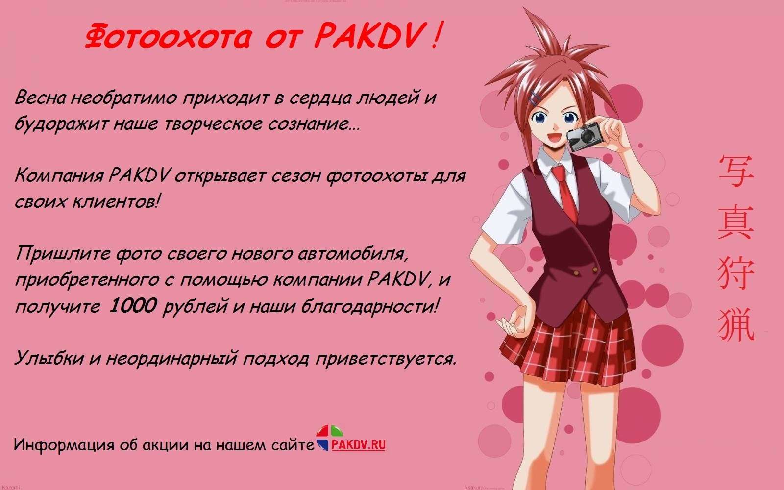 Pakdv ru аукцион японии. PAKDV.