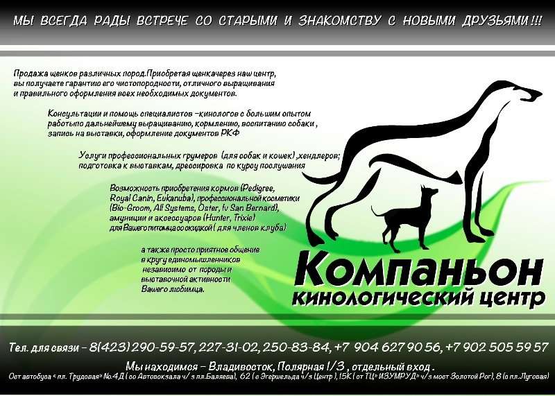 Бизнес план кинологического центра
