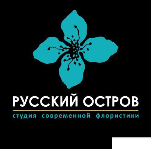 Остров студия